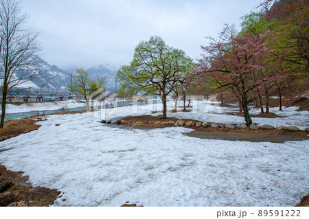 雪どけの魚野川 神弁橋からの眺め 関越自動車道湯沢IC付近 残雪 早春の風景 雪どけの魚野川 神弁橋からの眺め 関越自動車道湯沢IC付近 残雪 早春の風景 89591222