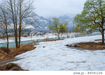 雪どけの魚野川　神弁橋からの眺め　関越自動車道湯沢IC付近　残雪　早春の風景　 89591226