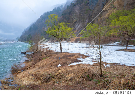 雪どけの魚野川 神弁橋からの眺め 関越自動車道湯沢IC付近 残雪 早春の風景 雪どけの魚野川 神弁橋からの眺め 関越自動車道湯沢IC付近 残雪 早春の風景 89591433
