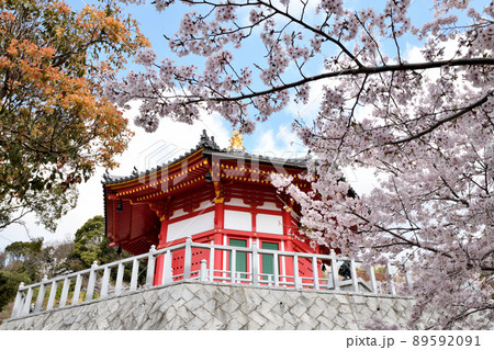 霊現寺(八角堂) 【和歌山県和歌山市】 霊現寺(八角堂) 【和歌山県和歌山市】 89592091