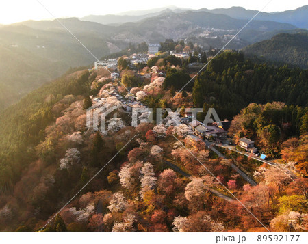 朝日に染まる吉野山のヤマザクラの空撮 朝日に染まる吉野山のヤマザクラの空撮 89592177