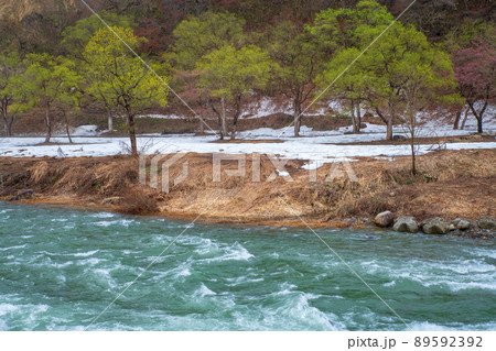 雪どけの魚野川　神弁橋からの眺め　関越自動車道湯沢IC付近　残雪　早春の風景　 89592392