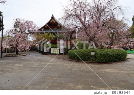 東京の上野にある寛永寺境内の清水観音堂の風景 東京の上野にある寛永寺境内の清水観音堂の風景 89592644