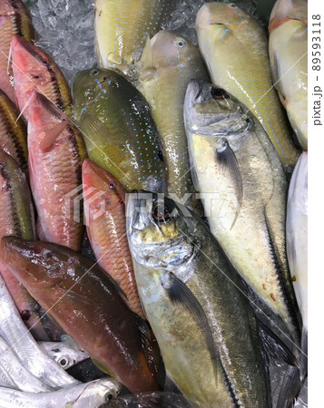 魚 魚 89593118