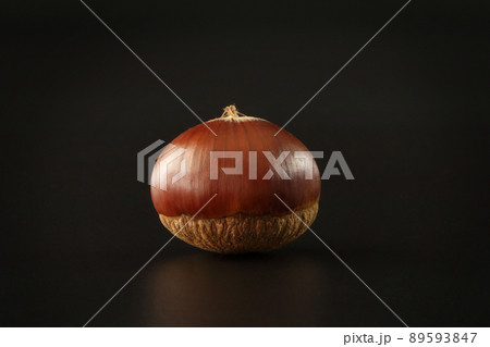 美味しそうな一粒の栗(シンプル黒背景) 美味しそうな一粒の栗(シンプル黒背景) 89593847