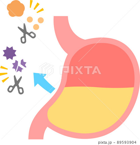 胃液と消化、殺菌の働きのイメージ 89593904