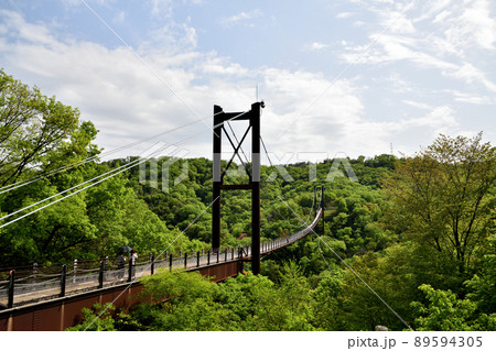 星のブランコ 【大阪府交野市】 星のブランコ 【大阪府交野市】 89594305