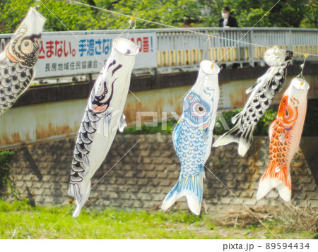 鯉のぼり(八王子の長房) 鯉のぼり(八王子の長房) 89594434
