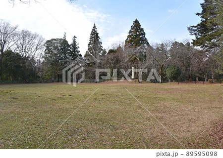 長篠城　本丸跡 89595098