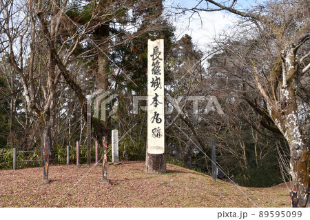 長篠城　本丸跡に建てられた石碑 89595099