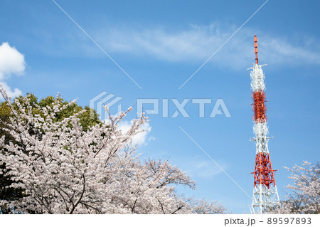 桜の名所比治山公園のテレビ塔のある風景です。空の変化と明るいイメージをご覧ください。広島県 桜の名所比治山公園のテレビ塔のある風景です。空の変化と明るいイメージをご覧ください。広島県 89597893