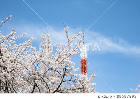 桜の名所比治山公園のテレビ塔のある風景です。空の変化と明るいイメージをご覧ください。広島県 89597895