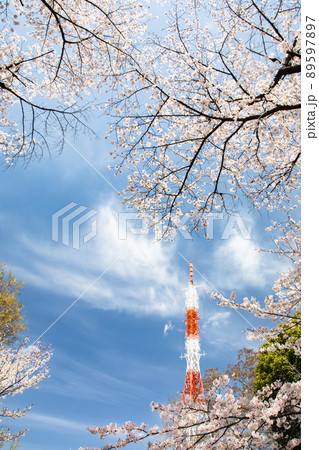 桜の名所比治山公園のテレビ塔のある風景です。空の変化と明るいイメージをご覧ください。広島県 89597897