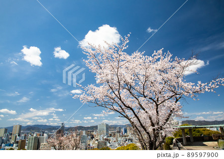 比治山公園富士見台展望台から広島市の西方面の展望です。富士見町、宝町、竹屋町、市役所方面。広島県 比治山公園富士見台展望台から広島市の西方面の展望です。富士見町、宝町、竹屋町、市役所方面。広島県 89597900