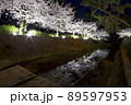 夙川公園の夜桜「日本のさくら名所100選」 89597953
