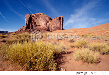 ユタ州 景色 荒野 89598352