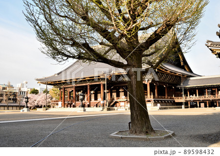 東本願寺(阿弥陀堂) 【 京都府京都市下京区】 東本願寺(阿弥陀堂) 【 京都府京都市下京区】 89598432