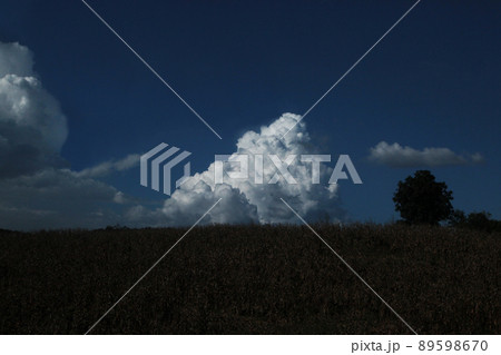 田舎の豊かな大地の空に湧き上がった雄大な入道雲 89598670