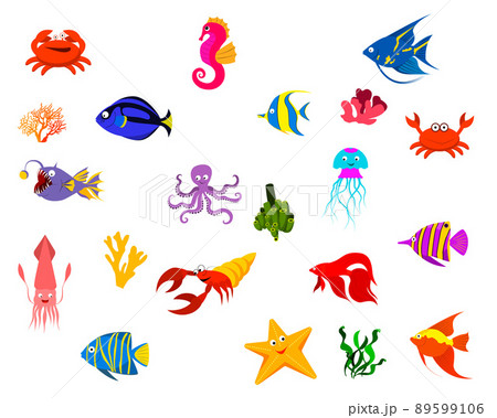 set of sea fish and algae, crab, seahorse, starfish, octopus, crayfish. Vector set of sea fish and algae, crab, seahorse, starfish, octopus, crayfish. Vector 89599106