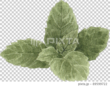 Ice cream summer watercolor png 89599722