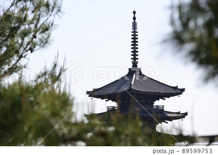 八坂の塔(五重塔) 法観寺 八坂の塔(五重塔) 法観寺 89599753