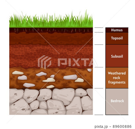 Soil layer infographic, earth geology formation bedrock, weathered rock fragments, subsoil, topsoil, humus. Vector infographics chart with soil cross section and underground surface Soil layer infographic, earth geology formation bedrock, weathered rock fragments, subsoil, topsoil, humus. Vector infographics chart with soil cross section and underground surface 89600886