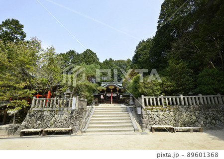 八大神社　本殿 89601368