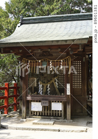 八大神社 下り松古木 八大神社 下り松古木 89601381