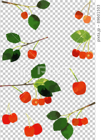 Cherry illustration material 89601503