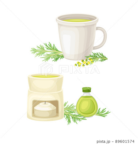Herbal tea and wormwood tincture set. Artemisia mongolica, flowering herbaceous medicinal plant vector illustration 89601574