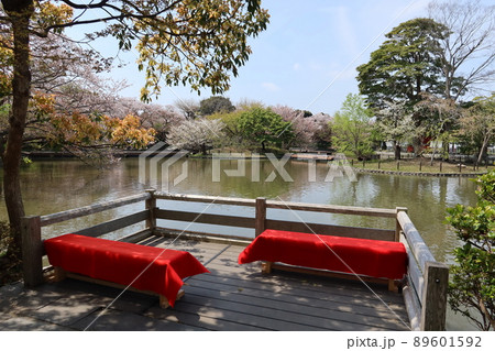 神奈川県鎌倉市鶴岡八幡宮境内にある源氏池と神苑牡丹庭園の風景 神奈川県鎌倉市鶴岡八幡宮境内にある源氏池と神苑牡丹庭園の風景 89601592