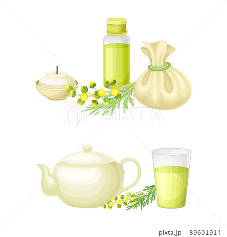 Artemisia mongolica, flowering herbaceous medicinal plant. Fresh and dried wormwood vector illustration 89601914