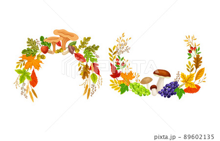 Bright Autumn Foliage with Berry and Mushroom Vector Composition Set Bright Autumn Foliage with Berry and Mushroom Vector Composition Set 89602135