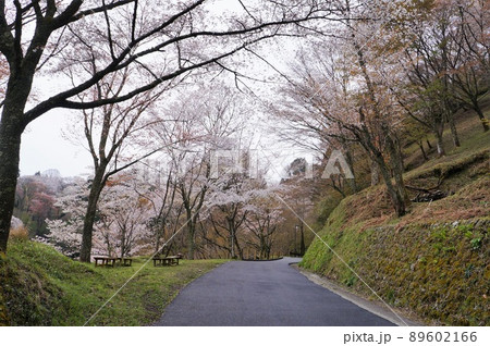 【奈良県吉野山】下千本・七曲坂 【奈良県吉野山】下千本・七曲坂 89602166
