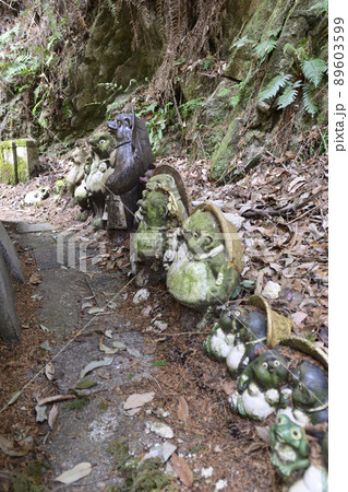 狸谷山不動院　狸 89603599