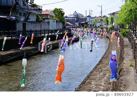 うずまの鯉のぼり うずまの鯉のぼり 89603927