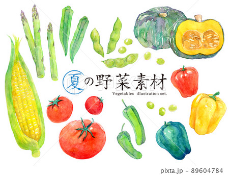 旬の野菜 夏 水彩イラストセットのイラスト素材