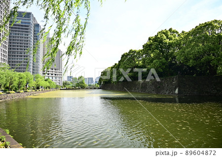 新緑の柳並木と内堀沿いのビル　水を湛える皇居のお堀　コピースペース 89604872