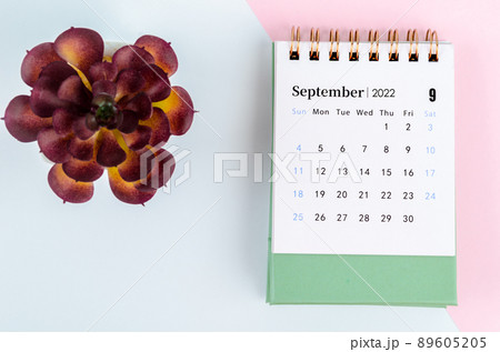 September 2022 desk calendar with tree pot. 89605205