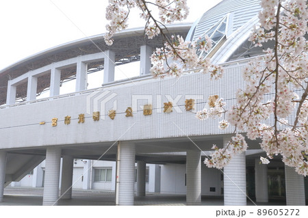 スタジアム前の桜（光明寺公園球技場　愛知県 一宮市） 89605272