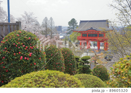 自動車の交通安全祈願（成田山名古屋別院大聖寺、犬山城　愛知県 犬山市） 89605320