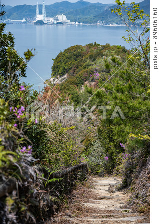 大久野島 89606160