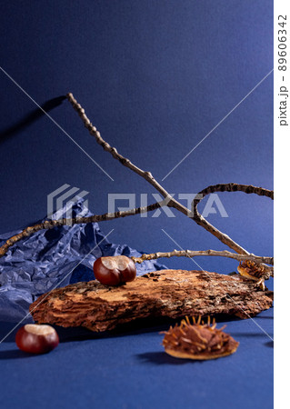Natural background podium for cosmetic products created from wood, bark, branches and leaves on blue background.Creative modern still life Natural background podium for cosmetic products created from wood, bark, branches and leaves on blue background.Creative modern still life 89606342