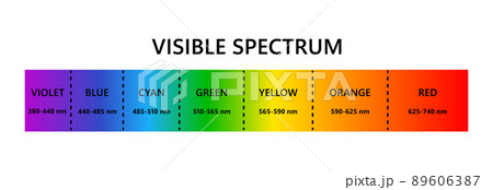 Visible light spectrum. Optical light wavelength. Electromagnetic visible color spectrum for human eye. Vector gradient diagram with wavelength and color. Educational illustration on white background 89606387