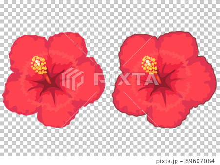 芙蓉圖標說明 89607084