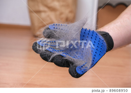A man combs the cat's fur with special glove and A man combs the cat's fur with special glove and 89608950