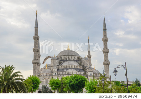 View of the famous Blue Mosque Sultan Ahmet Cami in Istanbul Turkey 89609474
