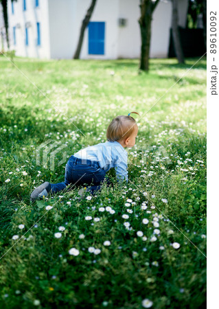 Little girl crawling on the grass among white daisies on the background of the building 89610092