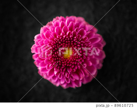 One flower on black background. View above. One flower on black background. View above. 89610725