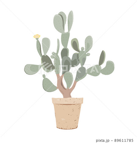 Potted Prickly Pear cactus. Old opuntia tree with fruits, and flowers in flower pot. Vector illustration isolated on white. Potted Prickly Pear cactus. Old opuntia tree with fruits, and flowers in flower pot. Vector illustration isolated on white. 89611785
